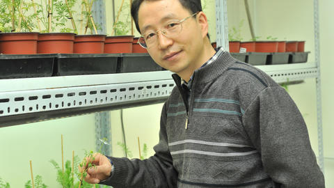 photo of scientist Hongzhi Kong from the Institute of Botany, Chinese Academy of Sciences