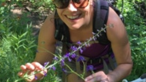Profile picture of Evangeline Ballerini from Sacramento State University