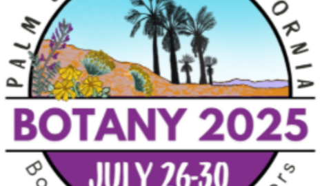 Picture of the Botany 2025 meeting logo