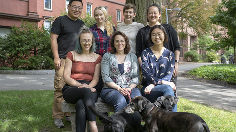 Kramer Lab 2018