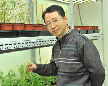 photo of scientist Hongzhi Kong from the Institute of Botany, Chinese Academy of Sciences
