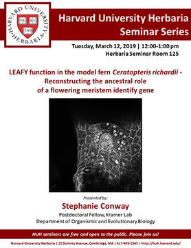 Conway HUH Seminar Flyer