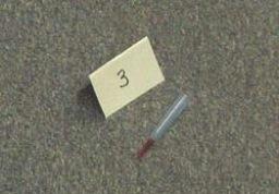 Another bullet