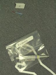 Evidence Bag