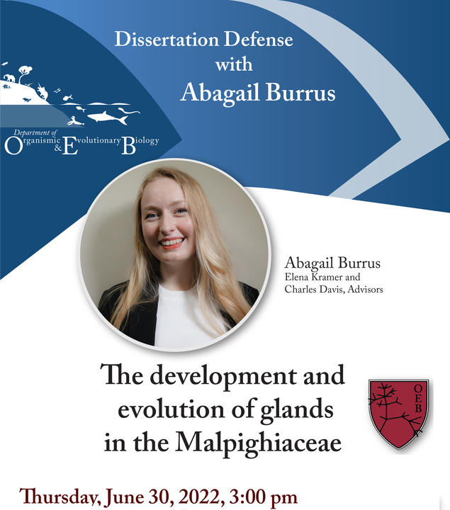 Abby Burrus thesis announcement
