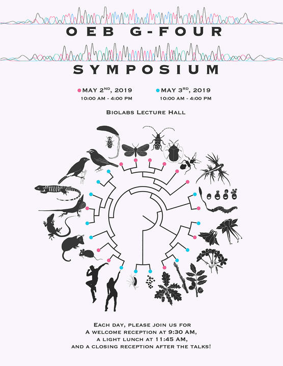 OEB G4 symposium logo