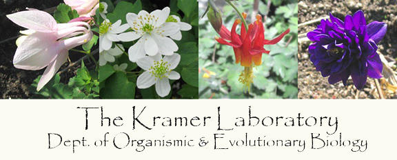 Kramer Lab banner